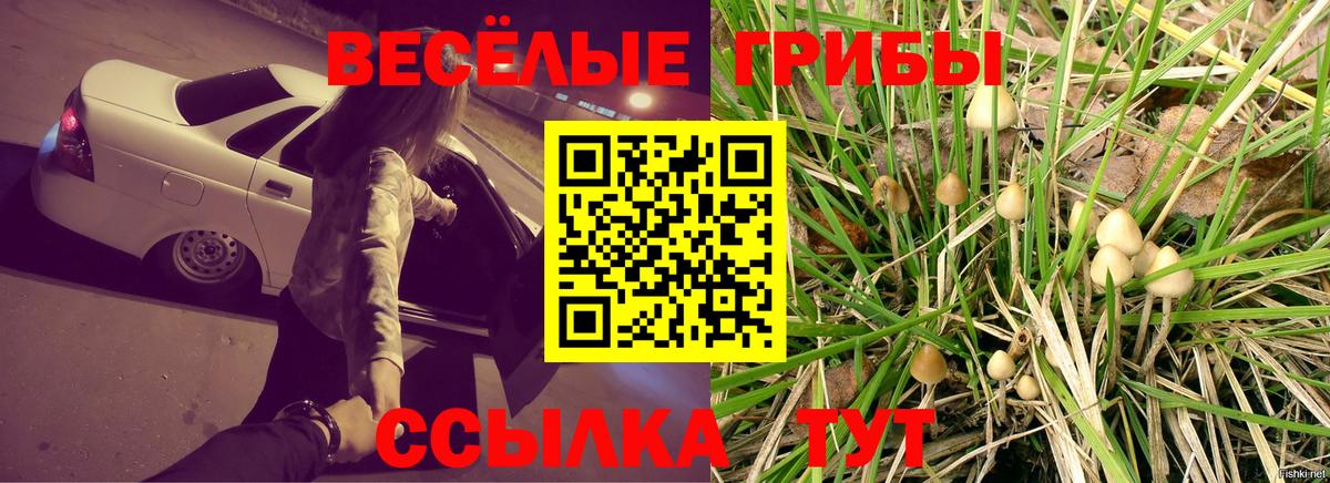 Галлюциногенные грибы Magic Shrooms  Вход с VPN  Когалым  Галлюциногенные грибы мицелий 